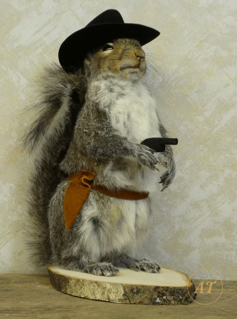 Cowboy squirrel novelty taxidermy for sale in Australia, hat and holster