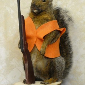 Hunting squirrel novelty taxidermy for sale in Australia, orange vest and rifle
