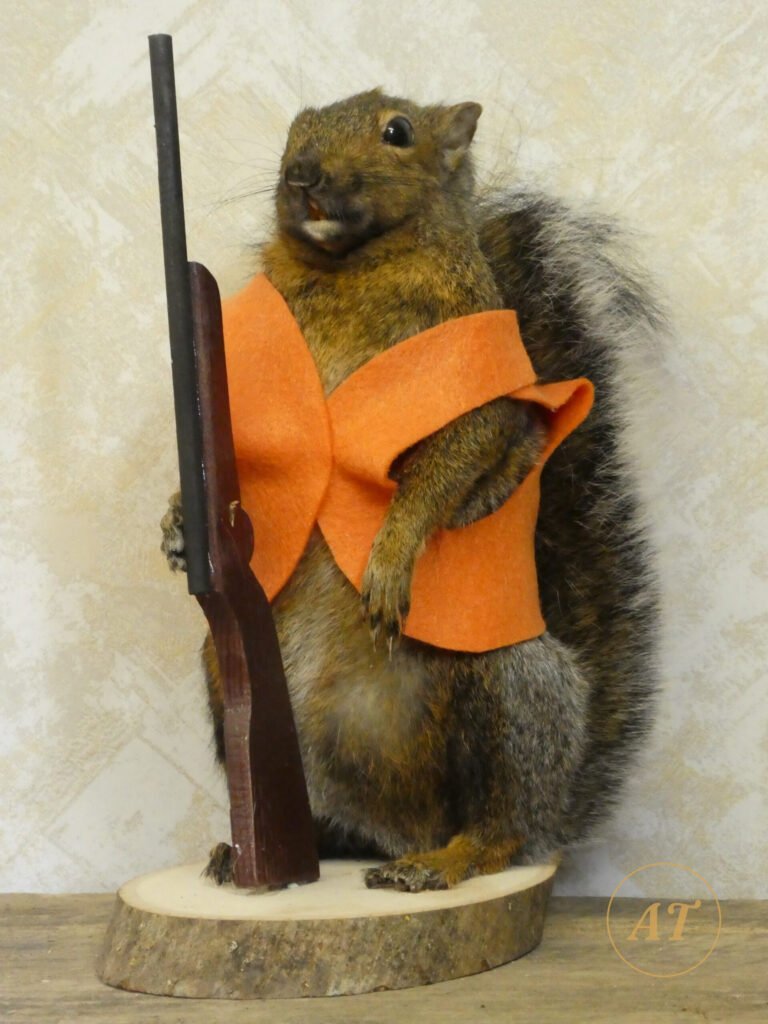 Hunting squirrel novelty taxidermy for sale in Australia, orange vest and rifle