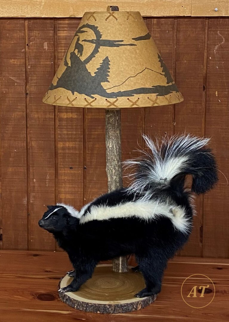 Skunk taxidermy table lamp with rustic shade, for sale in Australia